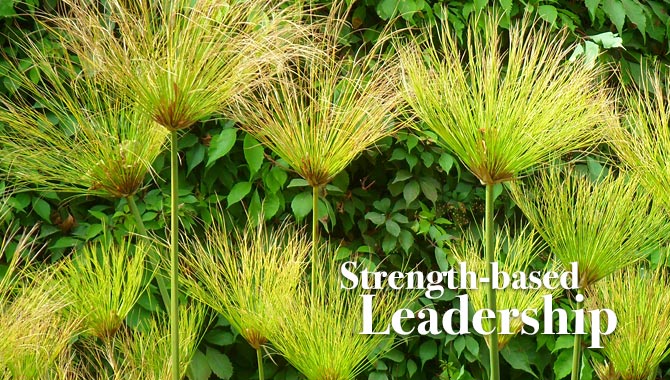 Strength-Based Leadership